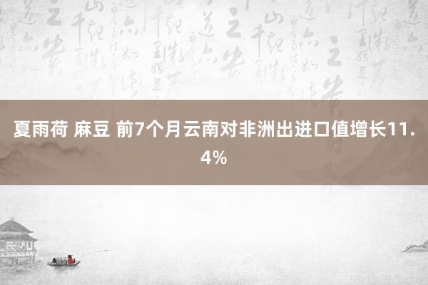 夏雨荷 麻豆 前7个月云南对非洲出进口值增长11.4%