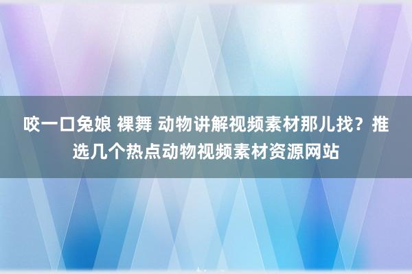 咬一口兔娘 裸舞 动物讲解视频素材那儿找？推选几个热点动物视频素材资源网站