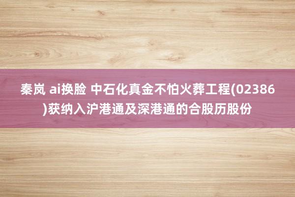 秦岚 ai换脸 中石化真金不怕火葬工程(02386)获纳入沪港通及深港通的合股历股份