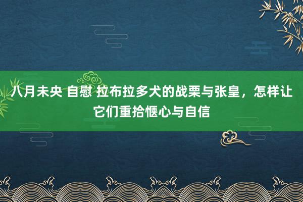 八月未央 自慰 拉布拉多犬的战栗与张皇，怎样让它们重拾惬心与自信