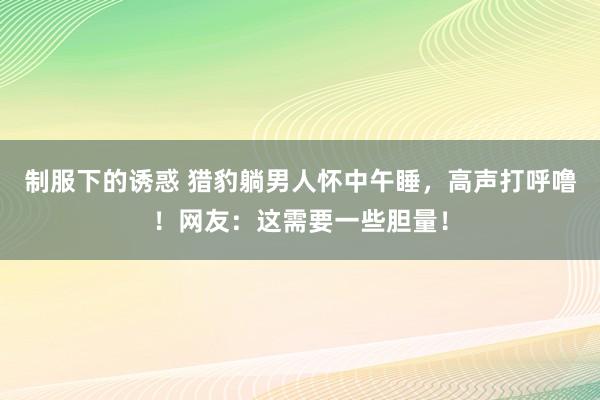 制服下的诱惑 猎豹躺男人怀中午睡，高声打呼噜！网友：这需要一些胆量！