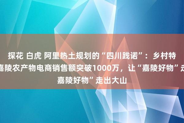 探花 白虎 阿里热土规划的“四川践诺”：乡村特派员助嘉陵农产物电商销售额突破1000万，让“嘉陵好物”走出大山