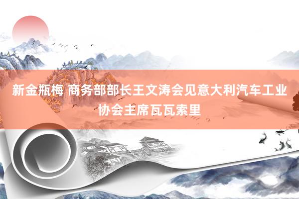 新金瓶梅 商务部部长王文涛会见意大利汽车工业协会主席瓦瓦索里