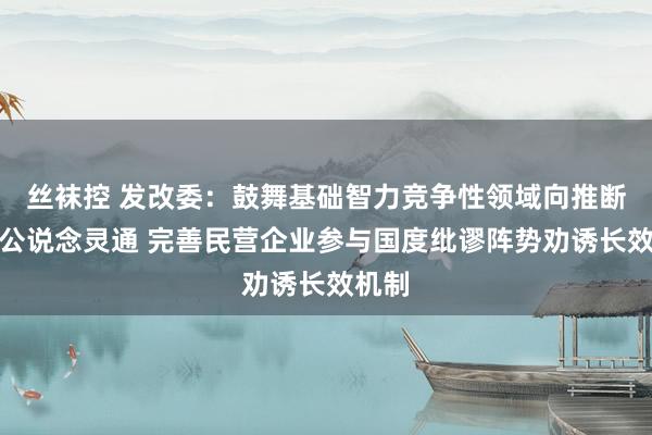 丝袜控 发改委：鼓舞基础智力竞争性领域向推断主体公说念灵通 完善民营企业参与国度纰谬阵势劝诱长效机制