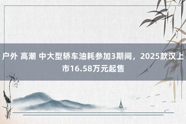 户外 高潮 中大型轿车油耗参加3期间，2025款汉上市16.58万元起售