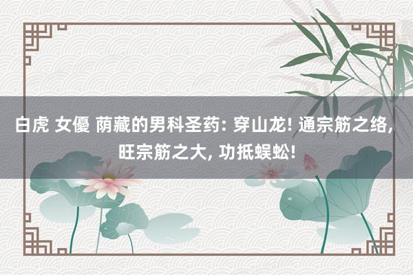 白虎 女優 荫藏的男科圣药: 穿山龙! 通宗筋之络， 旺宗筋之大， 功抵蜈蚣!