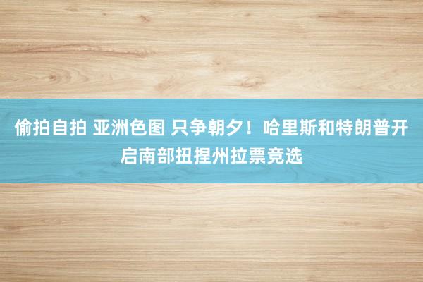 偷拍自拍 亚洲色图 只争朝夕！哈里斯和特朗普开启南部扭捏州拉票竞选