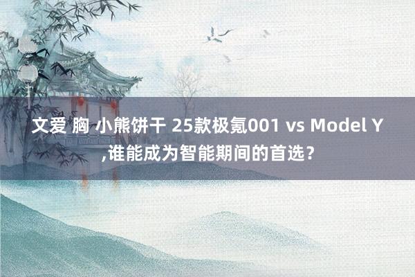 文爱 胸 小熊饼干 25款极氪001 vs Model Y，谁能成为智能期间的首选？