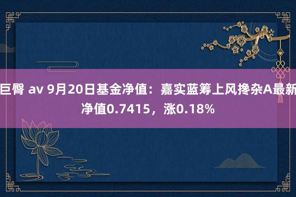 巨臀 av 9月20日基金净值：嘉实蓝筹上风搀杂A最新净值0.7415，涨0.18%