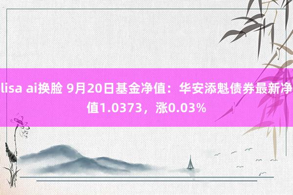 lisa ai换脸 9月20日基金净值：华安添魁债券最新净值1.0373，涨0.03%