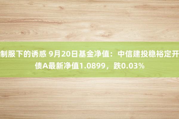 制服下的诱惑 9月20日基金净值：中信建投稳裕定开债A最新净值1.0899，跌0.03%