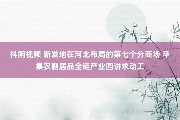 抖阴视频 新发地在河北布局的第七个分商场 辛集农副居品全链产业园讲求动工