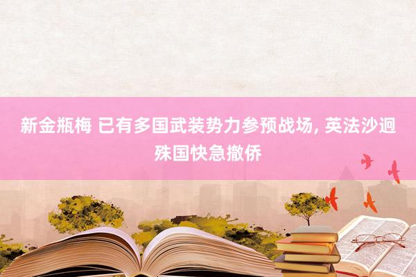 新金瓶梅 已有多国武装势力参预战场， 英法沙迥殊国快急撤侨