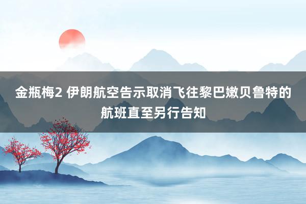 金瓶梅2 伊朗航空告示取消飞往黎巴嫩贝鲁特的航班直至另行告知