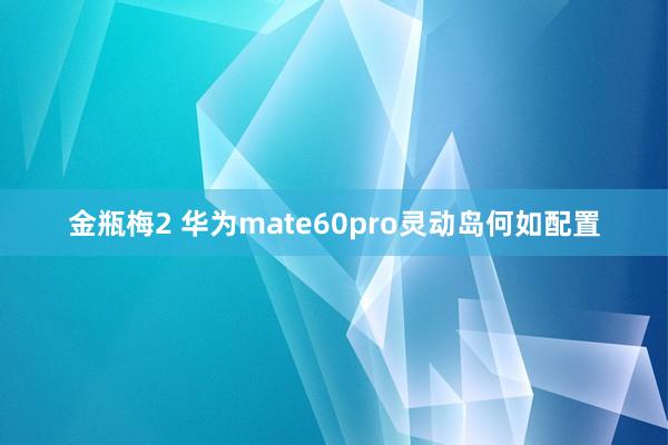 金瓶梅2 华为mate60pro灵动岛何如配置