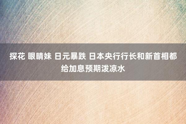 探花 眼睛妹 日元暴跌 日本央行行长和新首相都给加息预期泼凉水