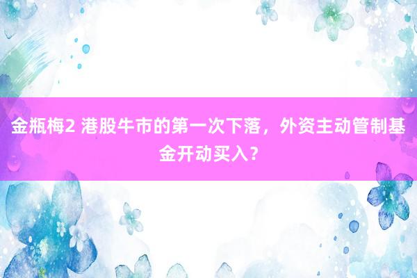 金瓶梅2 港股牛市的第一次下落，外资主动管制基金开动买入？