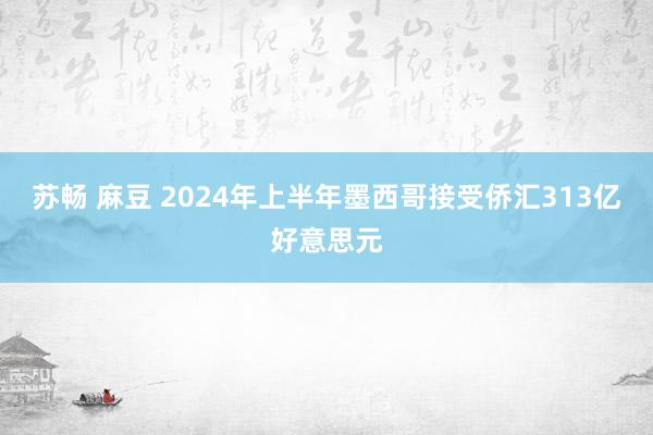 苏畅 麻豆 2024年上半年墨西哥接受侨汇313亿好意思元