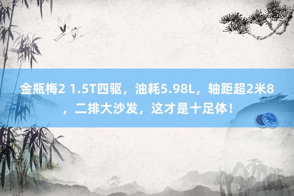 金瓶梅2 1.5T四驱，油耗5.98L，轴距超2米8，二排大沙发，这才是十足体！