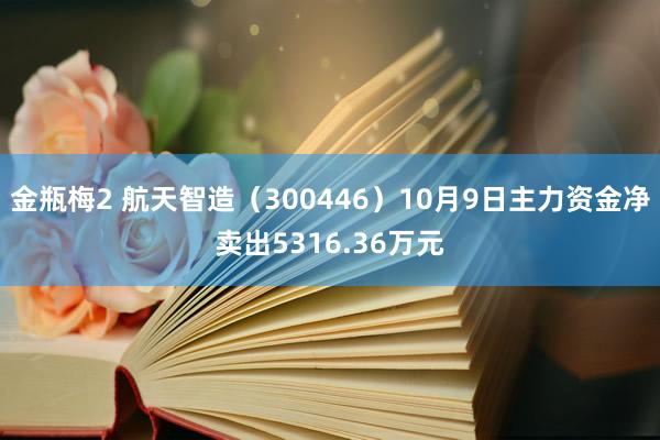 金瓶梅2 航天智造（300446）10月9日主力资金净卖出5316.36万元