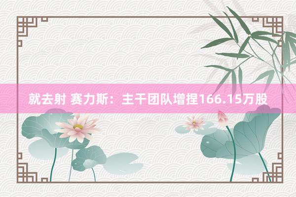 就去射 赛力斯：主干团队增捏166.15万股