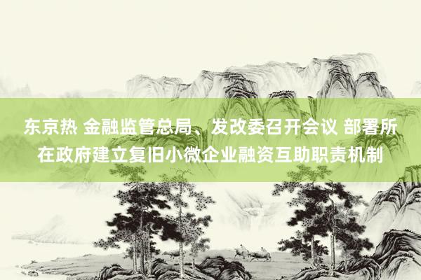 东京热 金融监管总局、发改委召开会议 部署所在政府建立复旧小微企业融资互助职责机制