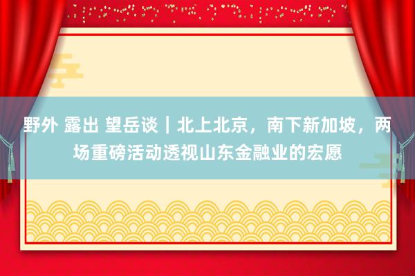 野外 露出 望岳谈｜北上北京，南下新加坡，两场重磅活动透视山东金融业的宏愿