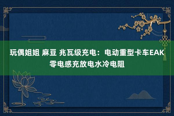 玩偶姐姐 麻豆 兆瓦级充电：电动重型卡车EAK零电感充放电水冷电阻