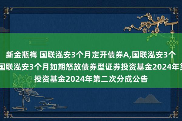 新金瓶梅 国联泓安3个月定开债券A，国联泓安3个月定开债券C: 国联泓安3个月如期怒放债券型证券投资基金2024年第二次分成公告