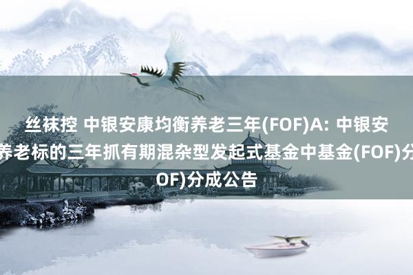 丝袜控 中银安康均衡养老三年(FOF)A: 中银安康均衡养老标的三年抓有期混杂型发起式基金中基金(FOF)分成公告