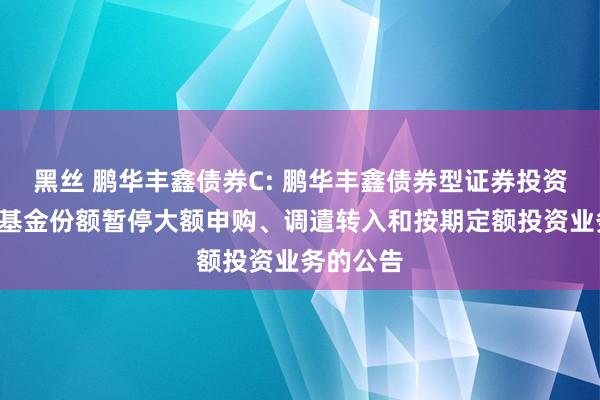 黑丝 鹏华丰鑫债券C: 鹏华丰鑫债券型证券投资基金C类基金份额暂停大额申购、调遣转入和按期定额投资业务的公告