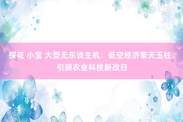 探花 小宝 大型无东谈主机：低空经济擎天玉柱，引颈农业科技新改日