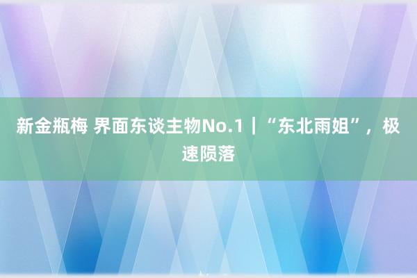 新金瓶梅 界面东谈主物No.1｜“东北雨姐”，极速陨落