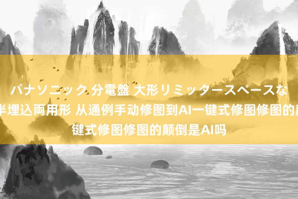 パナソニック 分電盤 大形リミッタースペースなし 露出・半埋込両用形 从通例手动修图到AI一键式修图修图的颠倒是AI吗