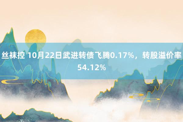 丝袜控 10月22日武进转债飞腾0.17%，转股溢价率54.12%