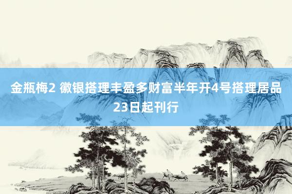 金瓶梅2 徽银搭理丰盈多财富半年开4号搭理居品23日起刊行