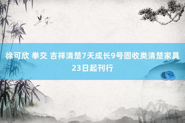 徐可欣 拳交 吉祥清楚7天成长9号固收类清楚家具23日起刊行