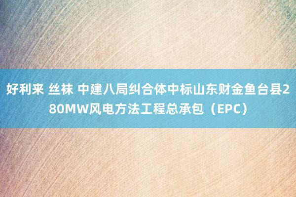 好利来 丝袜 中建八局纠合体中标山东财金鱼台县280MW风电方法工程总承包（EPC）