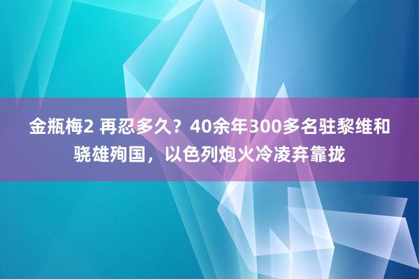 金瓶梅2 再忍多久？40余年300多名驻黎维和骁雄殉国，以色列炮火冷凌弃靠拢