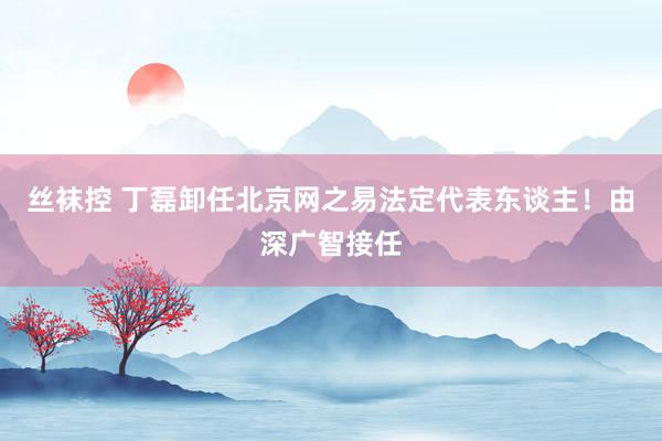 丝袜控 丁磊卸任北京网之易法定代表东谈主！由深广智接任