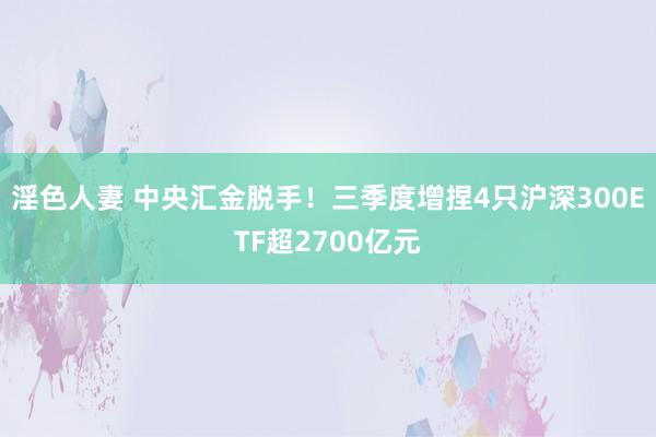 淫色人妻 中央汇金脱手！三季度增捏4只沪深300ETF超2700亿元