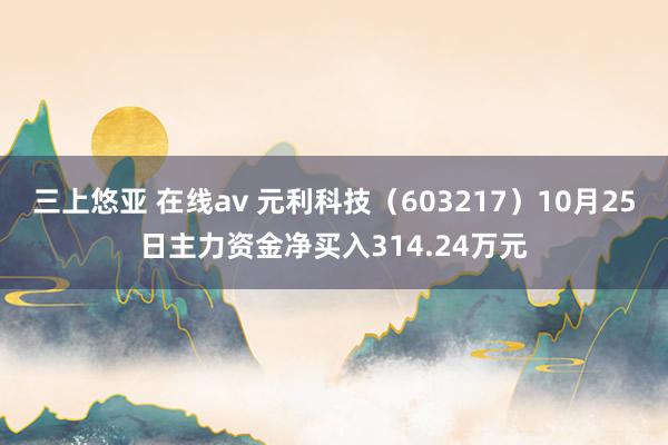 三上悠亚 在线av 元利科技（603217）10月25日主力资金净买入314.24万元