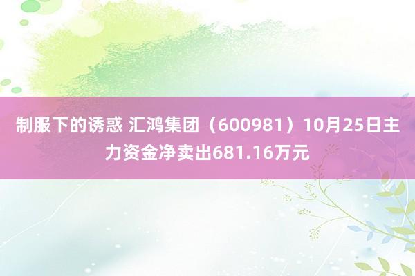 制服下的诱惑 汇鸿集团（600981）10月25日主力资金净卖出681.16万元