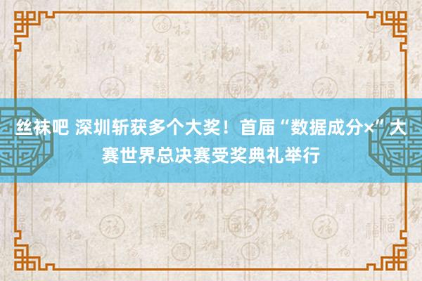 丝袜吧 深圳斩获多个大奖！首届“数据成分×”大赛世界总决赛受奖典礼举行