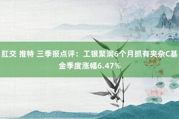 肛交 推特 三季报点评：工银聚润6个月抓有夹杂C基金季度涨幅6.47%