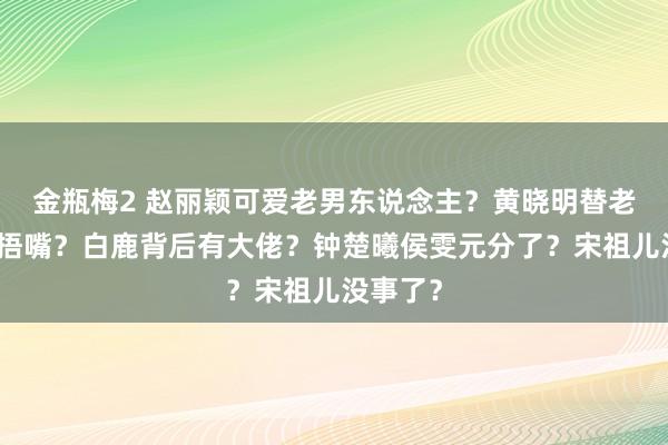 金瓶梅2 赵丽颖可爱老男东说念主？黄晓明替老婆删帖捂嘴？白鹿背后有大佬？钟楚曦侯雯元分了？宋祖儿没事了？