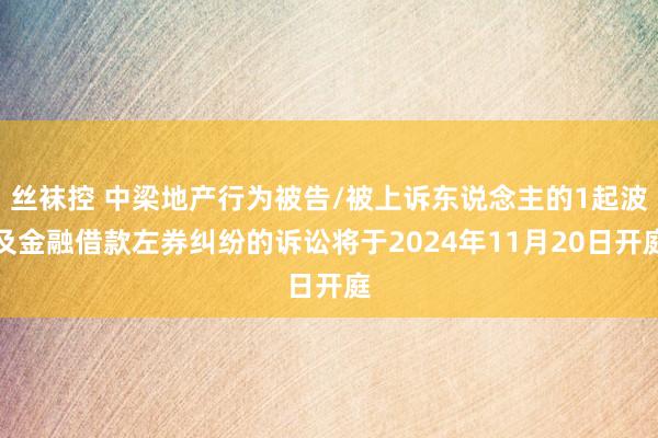 丝袜控 中梁地产行为被告/被上诉东说念主的1起波及金融借款左券纠纷的诉讼将于2024年11月20日开庭