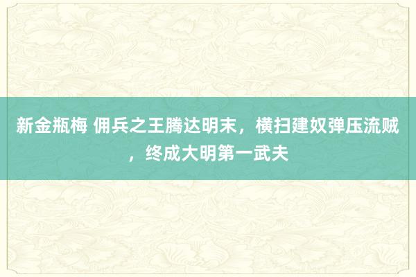 新金瓶梅 佣兵之王腾达明末，横扫建奴弹压流贼，终成大明第一武夫