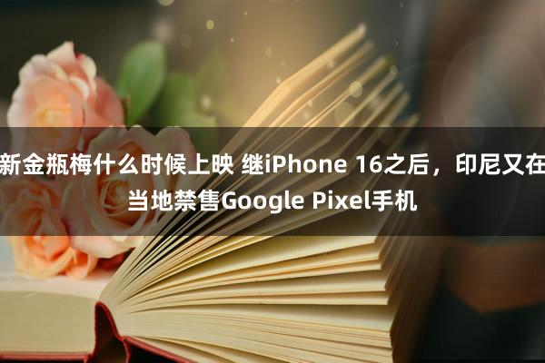 新金瓶梅什么时候上映 继iPhone 16之后，印尼又在当地禁售Google Pixel手机