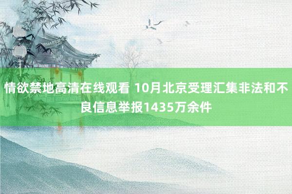 情欲禁地高清在线观看 10月北京受理汇集非法和不良信息举报1435万余件